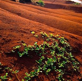 《烽火与炊烟》后续计划：登陆手机、开放工坊